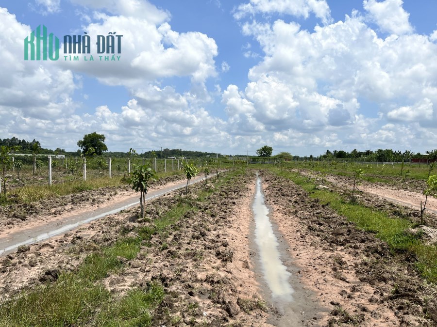 CẦN BÁN ĐẤT VƯỜN, 1188 M2, XÃ TRUNG LẬP HẠ