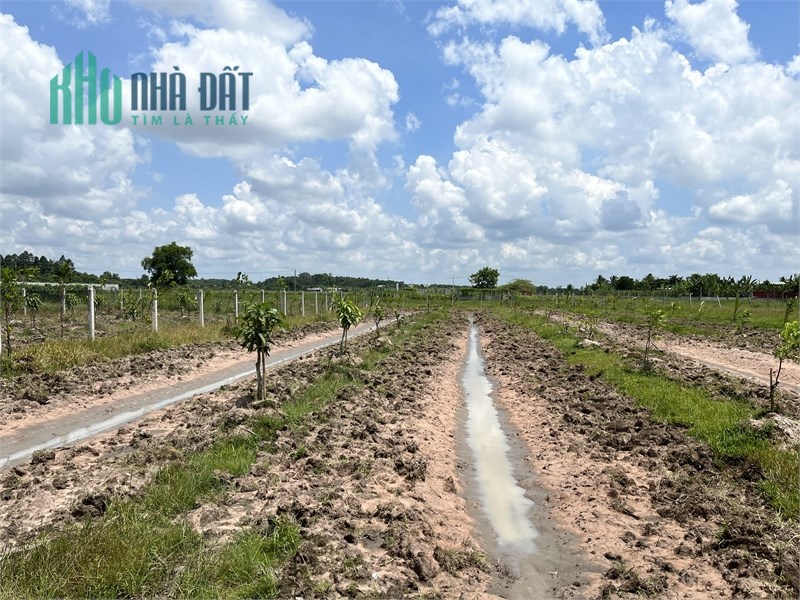 CẦN BÁN ĐẤT VƯỜN, 1188 M2, XÃ TRUNG LẬP HẠ