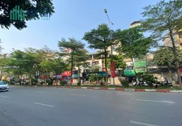 siêu VIP ! mặt phố trần thái tông 295m MT 12.8m vỉ hè đá bóng KD đỉnh.
