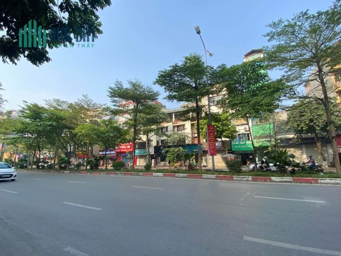 siêu VIP ! mặt phố trần thái tông 295m MT 12.8m vỉ hè đá bóng KD đỉnh.