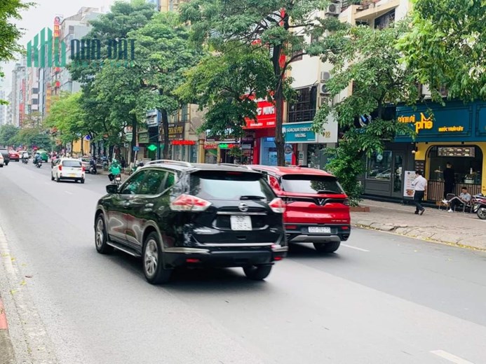 siêu VIP ! mặt phố trần thái tông 295m MT 12.8m vỉ hè đá bóng KD đỉnh.
