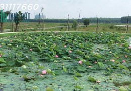 Bán đất ngay UBND Nhơn Trạch SHR, TC 100% giá 1 tỷ, 100m2