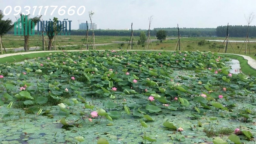 Bán đất ngay UBND Nhơn Trạch SHR, TC 100% giá 1 tỷ, 100m2