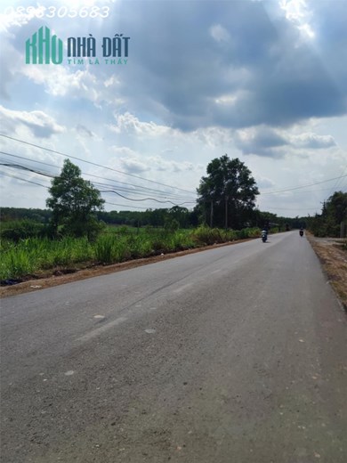 Lô đất vườn giá rẻ, vị trí đắc địa, tiềm năng sinh lời cao.