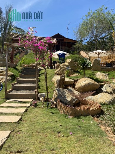 CHO THUÊ NHÀ VƯỜN XÃ ĐINH TRANG HÒA DI LINH - LÂM ĐỒNG