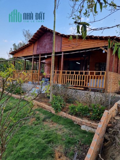 CHO THUÊ NHÀ VƯỜN XÃ ĐINH TRANG HÒA DI LINH - LÂM ĐỒNG
