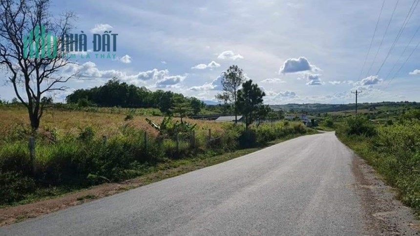 dự án phân lô 3 mặt tiền đường vào KDL thác pongour thuộc phú hội đức trọng Lâm Đồng 60 tỷ
