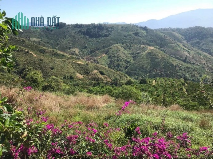 dự án phân lô 3 mặt tiền đường vào KDL thác pongour thuộc phú hội đức trọng Lâm Đồng 60 tỷ