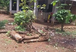 Ngộp quá ngộp ông anh rể cần bán gấp lô đất nhà 250m2 có 100 thổ cư giá 180tr