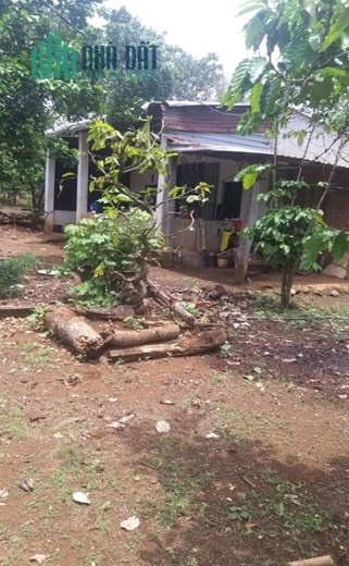 Ngộp quá ngộp ông anh rể cần bán gấp lô đất nhà 250m2 có 100 thổ cư giá 180tr