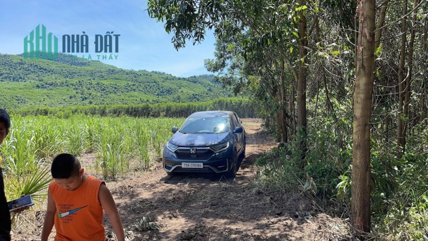 NT: Bán đất nền Khánh Vĩnh Nha Trang, sổ con, đường ô tô. 1.000m2 giá 280tr