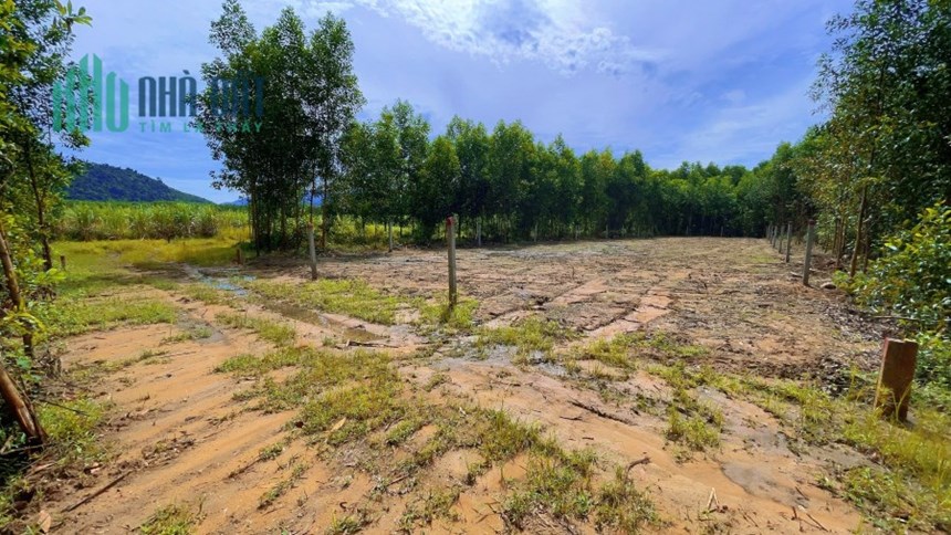 NT: Bán đất nền Khánh Vĩnh Nha Trang, sổ con, đường ô tô. 1.000m2 giá 280tr
