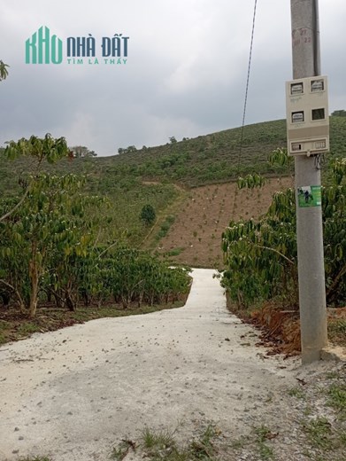 CHÍNH CHỦ CẦN BÁN ĐẤT TẠI  BẢO LỘC LÂM ĐỒNG _LH: 0395038849