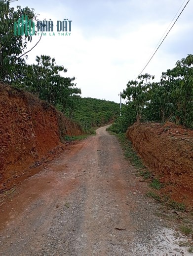 CHÍNH CHỦ CẦN BÁN ĐẤT TẠI  BẢO LỘC LÂM ĐỒNG _LH: 0395038849