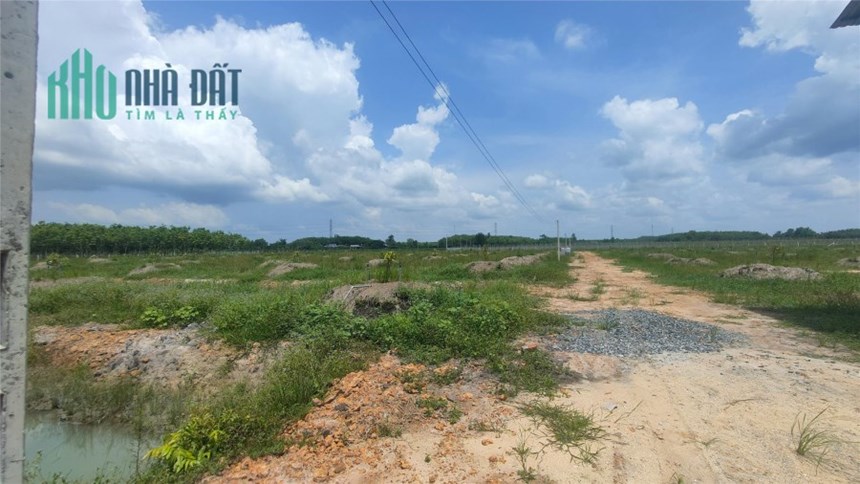 Chốn bình yên: Bán mãnh vườn sầu riêng độc đáo với chuồng dơi sẵn có!