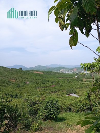 CHÍNH CHỦ CẦN BÁN ĐẤT TẠI  BẢO LỘC LÂM ĐỒNG _LH: 0395038849