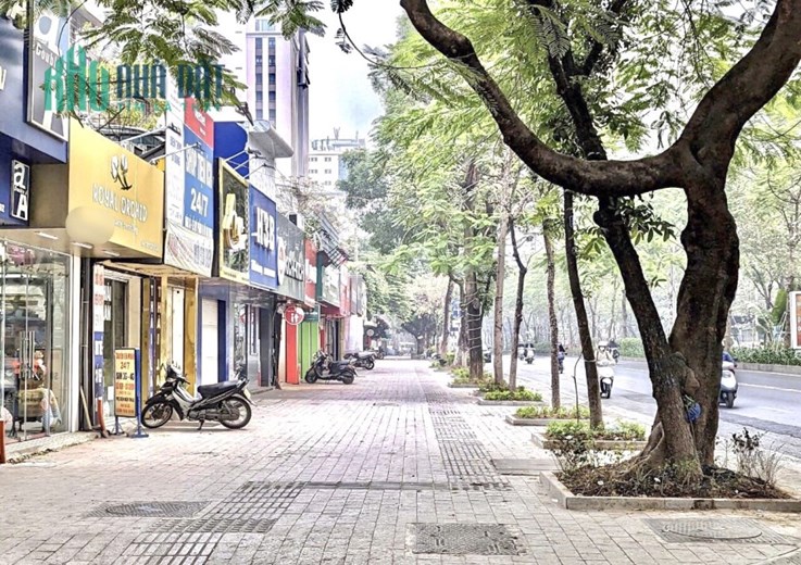 Bán nhà MẶT PHỐ Đào Tấn Ba Đình, VỈA HÈ SÂN GOLF, KINH DOANH, Ô TÔ DỪNG ĐỖ 106m2, MT 6m