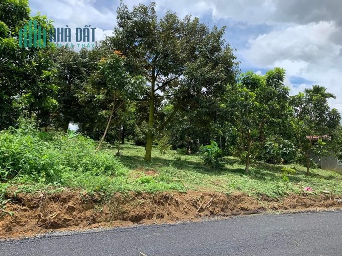 Cần bán lô đất thổ cư sổ đỏ có sẵn giá chỉ 6 tr/m2 cách tp Bảo Lộc 10 phút đi xe.