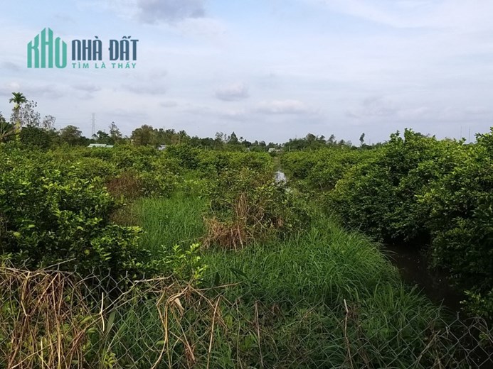 Chính chủ cần bán Lô Đất Mặt tiền  tại Châu Thành, Tỉnh Hậu Giang