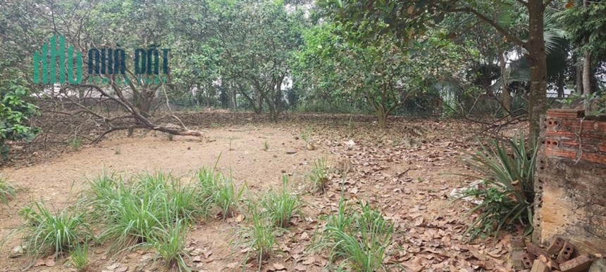 CẦN BÁN NHÀ VƯỜN ĐỊA CHỈ; Hà Lộc, TX Phú Thọ, gần KCN Phú Hà