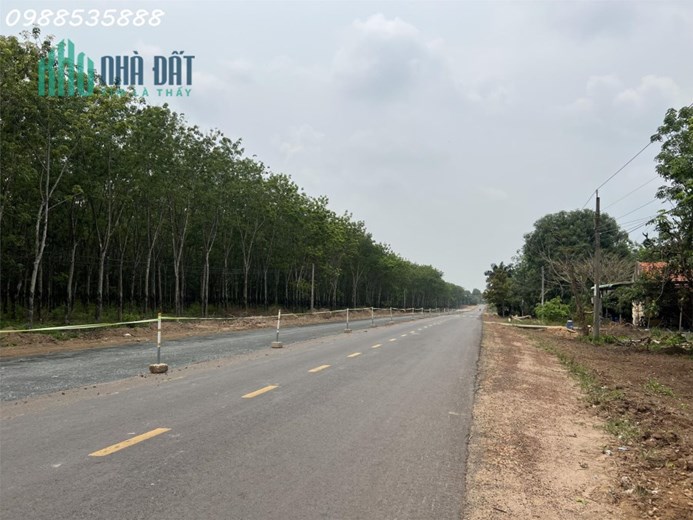 Chính chủ bán đất mặt tiền DT789 Bến Củi, Dương Minh Châu, Tây Ninh