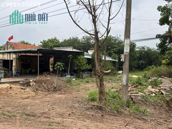 Chính chủ bán đất mặt tiền DT789 Bến Củi, Dương Minh Châu, Tây Ninh
