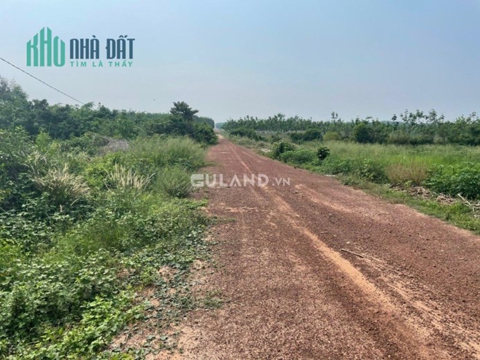 Cần bán nhanh lô đất đẹp, rộng vuông vắn, giá hời tại Xã Minh Hòa, Dầu Tiếng Bình Dương