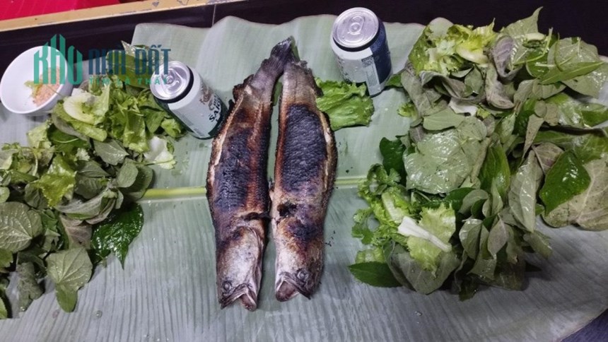 Sở Hữu Ngay Lô Đất Đẹp Vị Trí Đắc Địa Tại Gia Kiệm, Thống Nhất, Đồng Nai