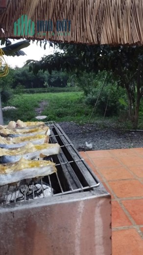 Sở Hữu Ngay Lô Đất Đẹp Vị Trí Đắc Địa Tại Gia Kiệm, Thống Nhất, Đồng Nai