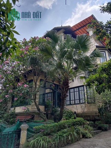 TÒA BIỆT THỰ , SÂN VƯỜN, KINH DOANH ĐỈNH CAO VỚI THƯƠNG HIỆU NHÀ HÀNG LƯU GIA TRANG ĐẲNG CẤP 5 SAO