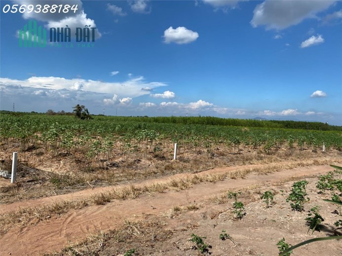 Xuân Hòa – Xuân Lộc em có 2 mẫu đất 2 mặt tiền nằm trong KCN 1.000Ha cần bán

•	Cụ thể là xã Xuân