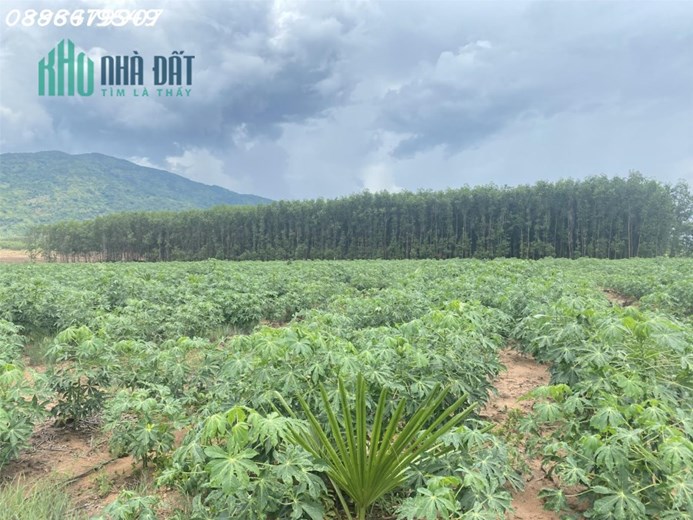 Đất làm xưởng 2 mặt tiền đường nhựa - Trung tâm KCN - Sổ riêng - giá chính chủ - Hoa Hồng 2%