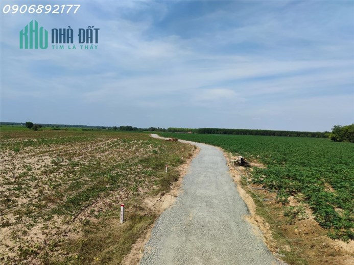 Lô đất vườn giá rẻ, vị trí đắc địa, tiềm năng sinh lời cao.