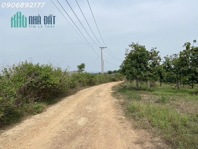 Đất diện tích lớn cho khách đang có nhu cầu làm kho xưởng hoặc trang trại