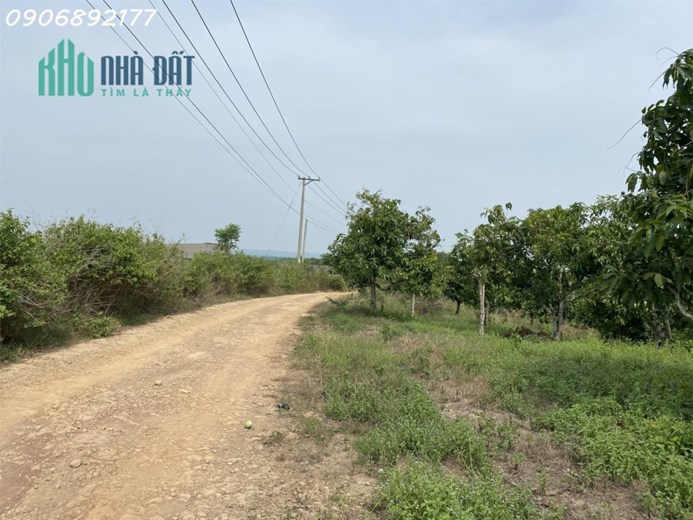 Bán đất 2 mặt tiền đường đường nhựa và đường đất, mặt tiền đường hết đất
