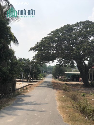 không còn lô nào rẻ hơn nữa 360 triệu có ngay 1000m2