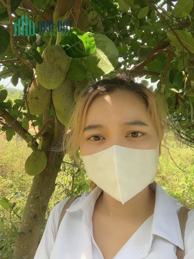 Gia đình không có thời gian chăm sóc bán gấp miếng vườn 1100m2