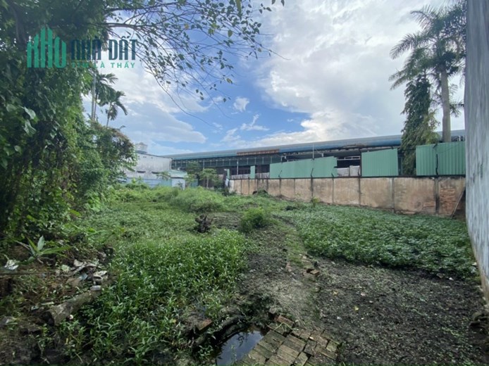 Cần bán miếng Đất đường số 4, Phường Trường Thọ, Diện tích 703m² thổ cư, Giá 20 Tỷ