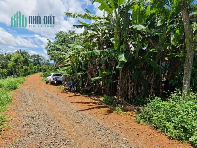 Sở Hữu Ngay Lô Đất Vị Trí Đắc Địa Tại Xã Quảng Khê Huyện Đăk Glong Đăk Nông