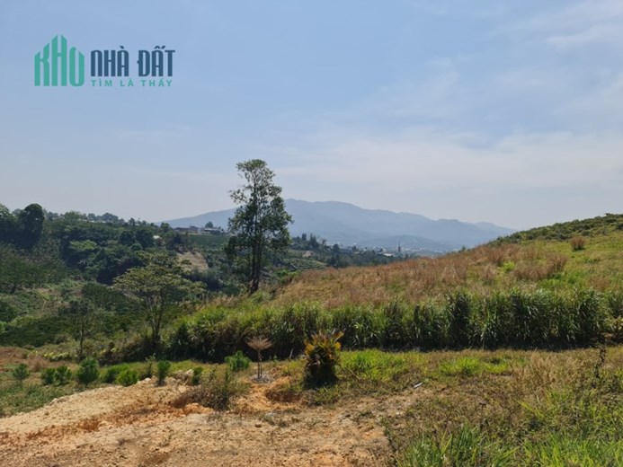 BÁN NHANH Lô Đất Nghỉ Dưỡng Vị Trí Đẹp Tại Xã Lộc Châu, Bảo Lộc Lâm Đồng