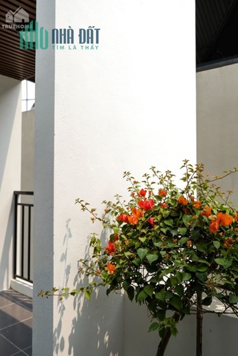 Bán nhà Mỹ Nội Bắc Hồng Đông Anh giá rẻ 2023 LH 0384 952 789