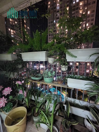 Căn hộ Duplex Vinhomes Gardenia, 100m2, 3 phòng ngủ, 2 vệ sinh, full đồ, 4,8 tỷ