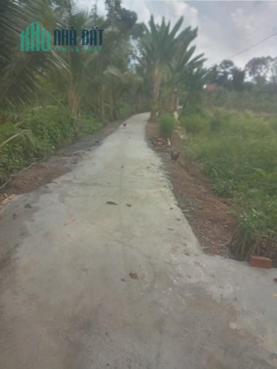 BÁN ĐẤT CHÍNH CHỦ Vị Trí Đẹp Tại Xã Mỹ Phước, Huyện Măng Thít, Vĩnh Long