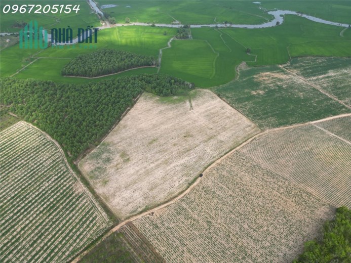 Trọn sổ 430tr có ngay 1000m2 SHR Tây Ninh