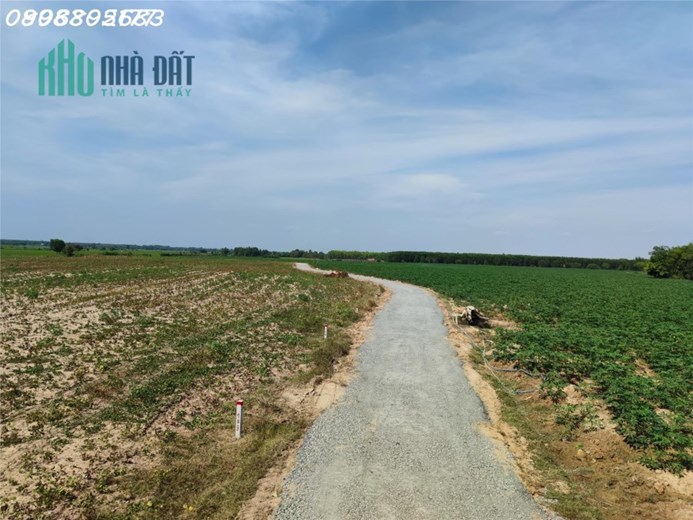 CÓ ngay Lô đất vườn Sổ Riêng-Đường ô tô tận đất từ 430 nghìn/m2