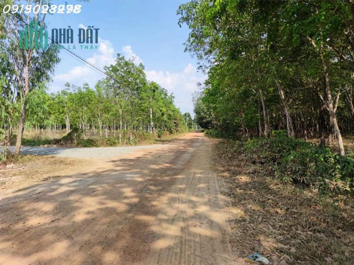 Nhà không người trông coi cần bán lại lô đất sào đường ô tô