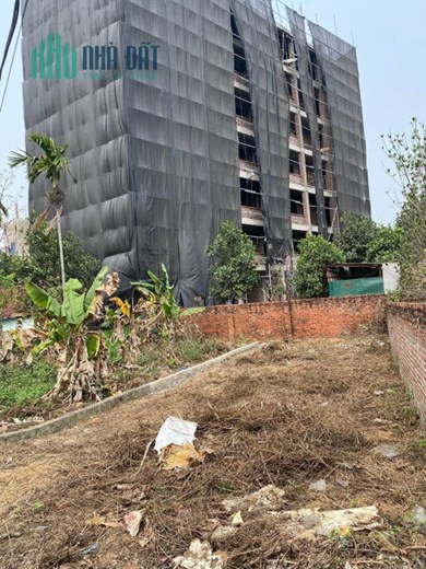 ĐẤT TÂN XÃ GIÁ NHỈNH 2 TỈ