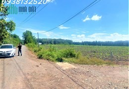 Bán lỗ 50% lô đất 243m2 thổ cư ngay Chợ, sát QL13. Giá 260TR bao sổ