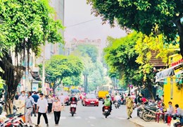 Bán nhanh siêu phẩm MT Cô Giang, 8.5x20 3L giá 49.5 tỷ