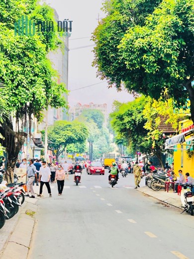 Bán nhanh siêu phẩm MT Cô Giang, 8.5x20 3L giá 49.5 tỷ